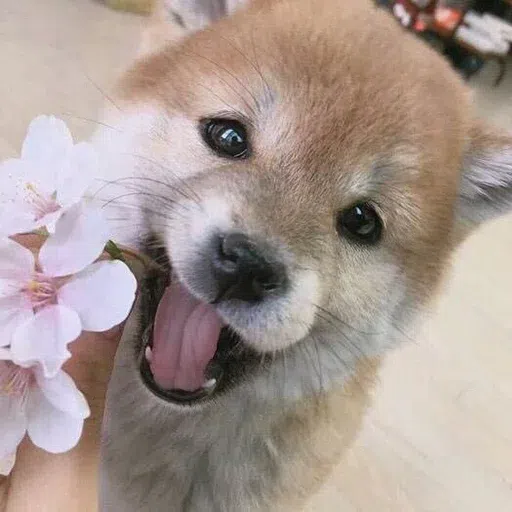 Fluff 2 - Sticker 9