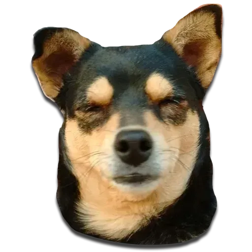 Perros - Sticker 21