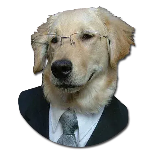 Perros - Sticker 16