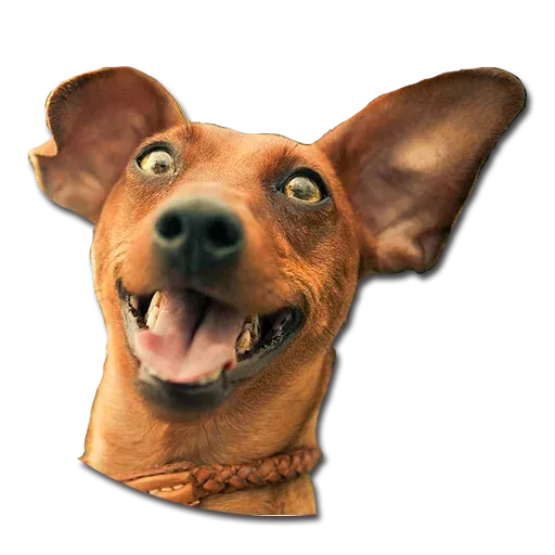 Perros - Sticker 19