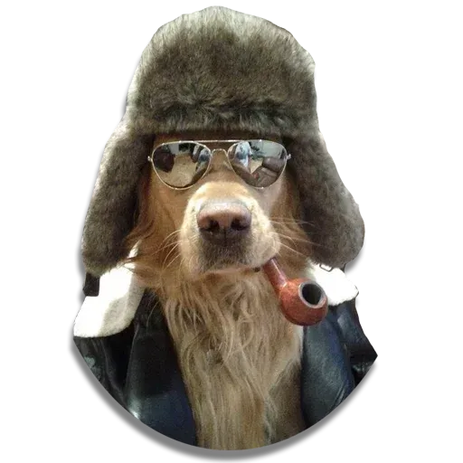 Perros - Sticker 23