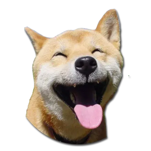 Perros - Sticker 15
