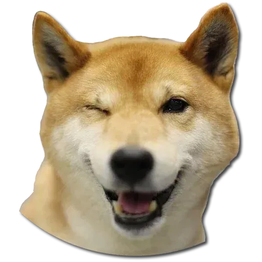 Perros - Sticker 18