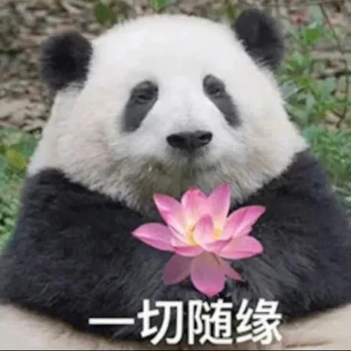 花花的表情包 - Sticker 17