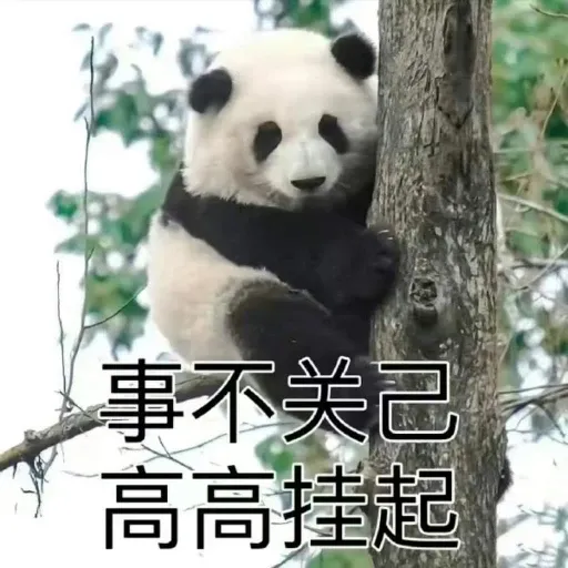 花花的表情包 - Sticker 14