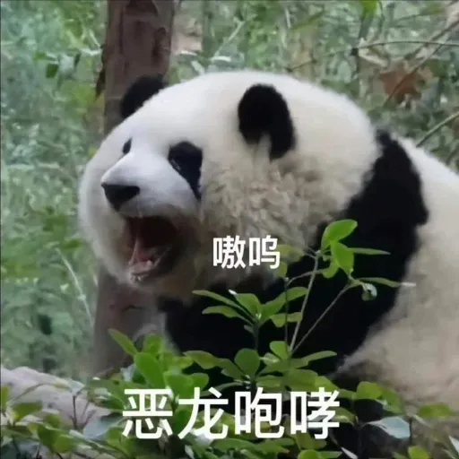 花花的表情包 - Sticker 10