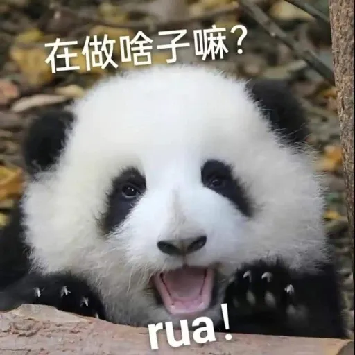 花花的表情包 - Sticker 18