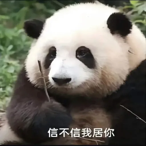 花花的表情包 - Sticker 11