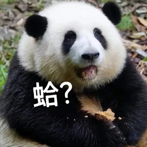 花花的表情包 - Sticker 19