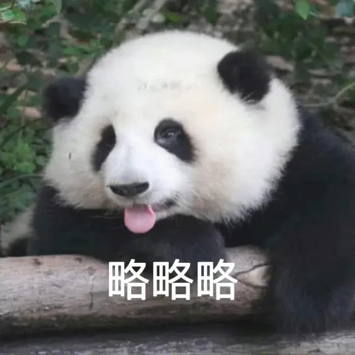 花花的表情包 - Sticker 21