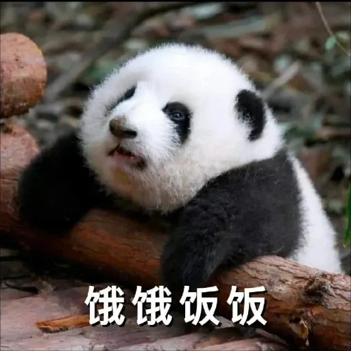 花花的表情包 - Sticker 20