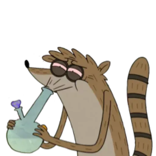 Raccoon - Sticker 30
