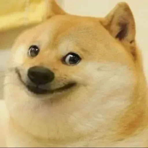 dogimx1 - Sticker 27