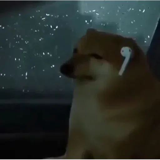 dogimx1 - Sticker 24