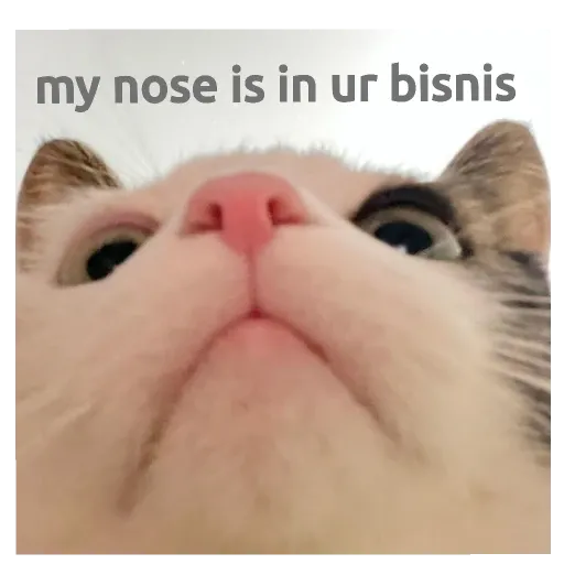hoseobi - Sticker 12