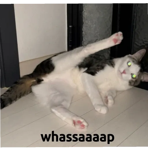 hoseobi - Sticker 10