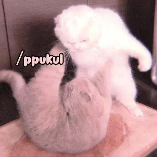kucing - Sticker 24