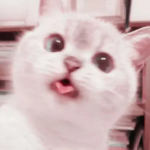 kucing - Sticker 15