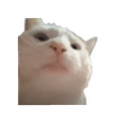 DiscordEmojis - Sticker 14