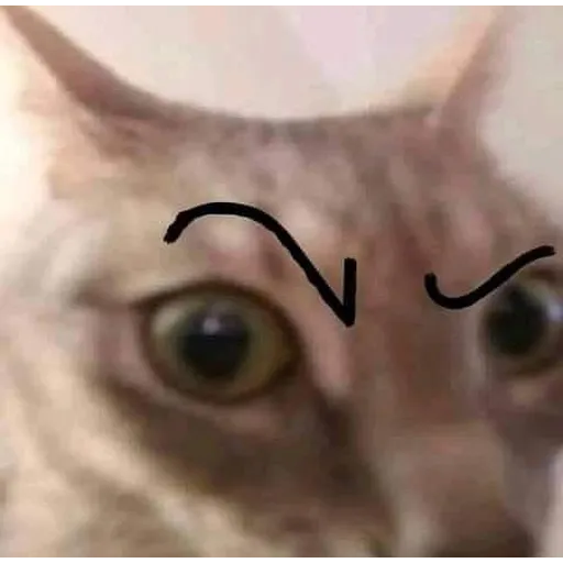 meme3 - Sticker 19