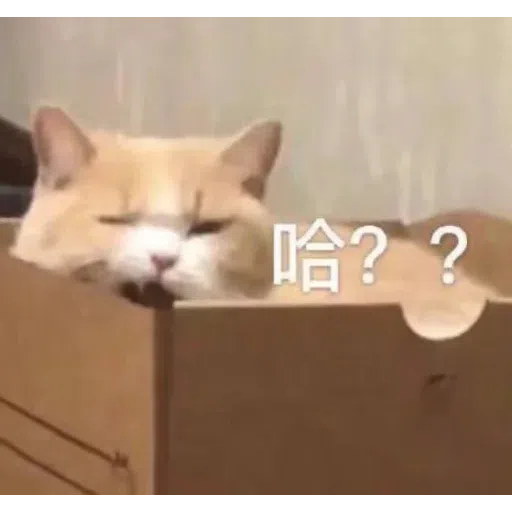 貓貓1 - Sticker 19