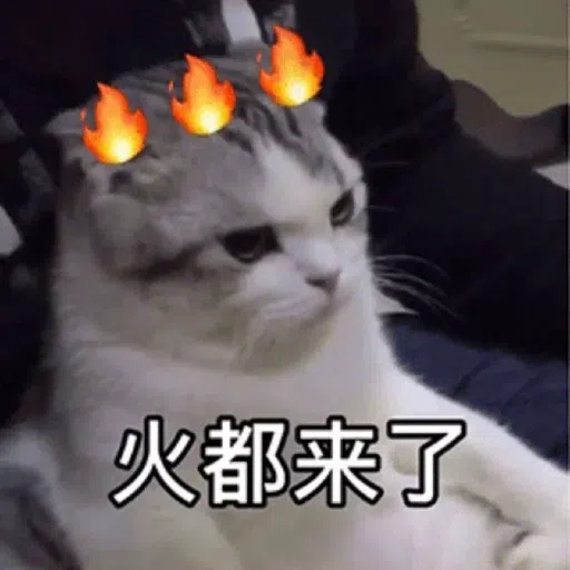 貓貓1 - Sticker 20