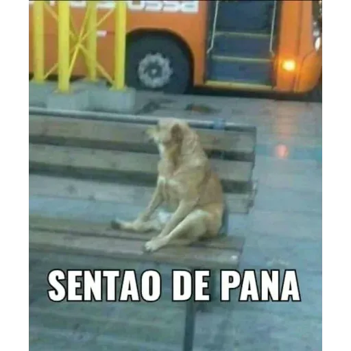 Enana 3 - Sticker 12