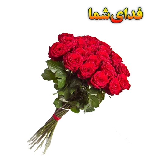 Ward - Sticker 21