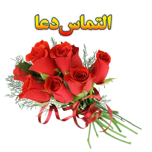 Ward - Sticker 29