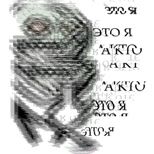 bdtrp - Sticker 16
