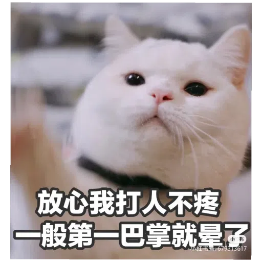 猫猫表情包 - Sticker 10