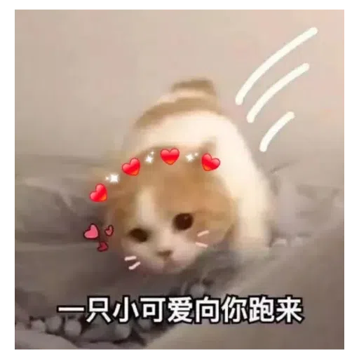 猫猫表情包 - Sticker 21