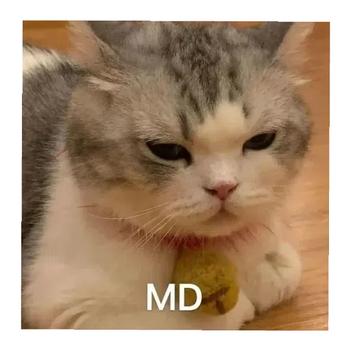 猫猫表情包 - Sticker 30