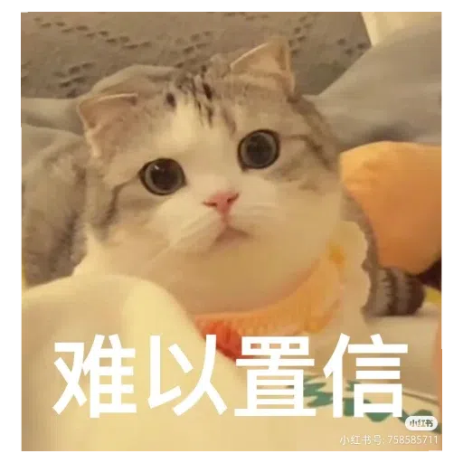 猫猫表情包 - Sticker 15