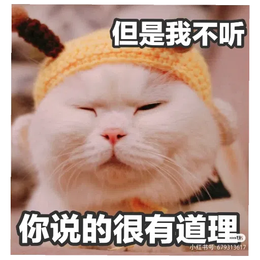 猫猫表情包 - Sticker 11