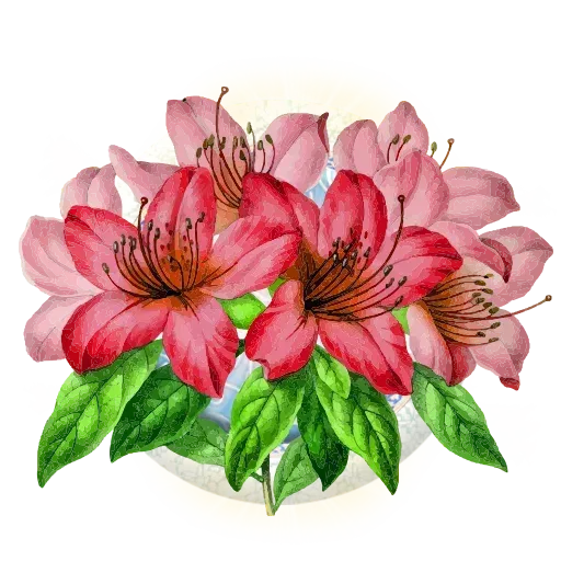 Persian3 - Sticker 9