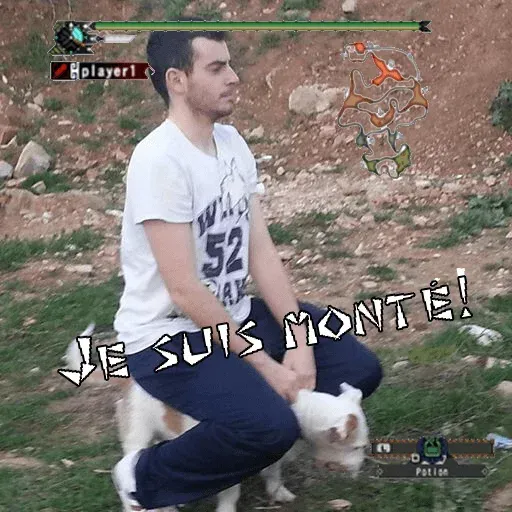 Monster hunter - Sticker 23