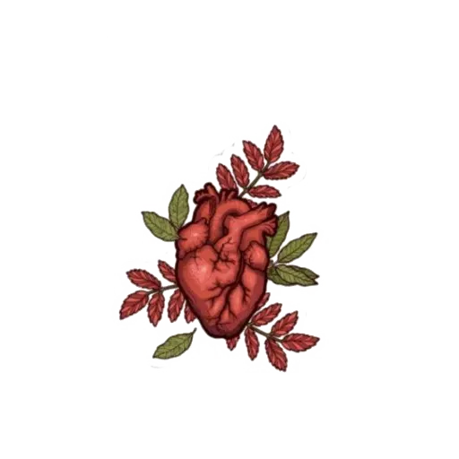 Simay - Sticker 13
