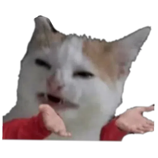 memes - Sticker 9