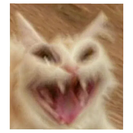 memes - Sticker 15
