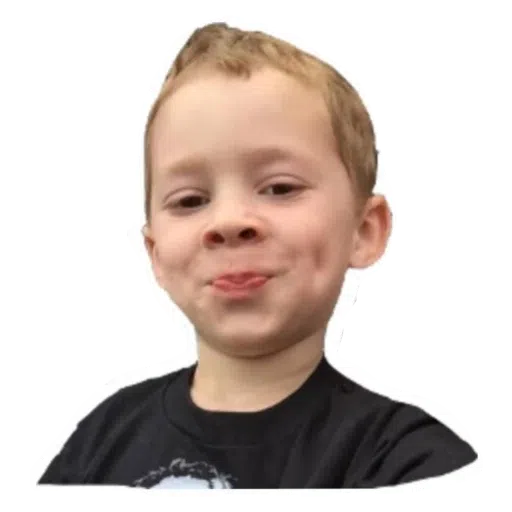 memes - Sticker 29