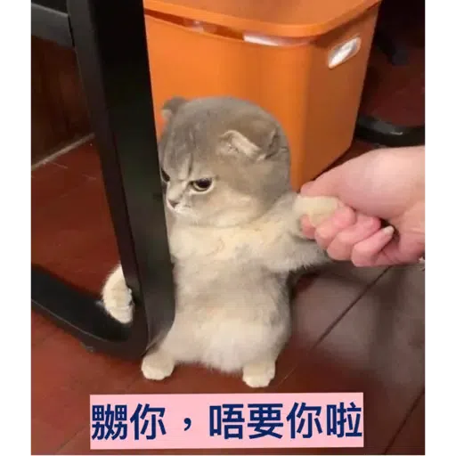 貓1 - Sticker 11