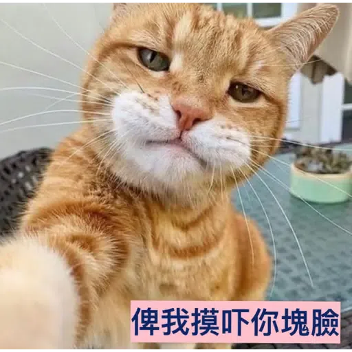 貓1 - Sticker 10