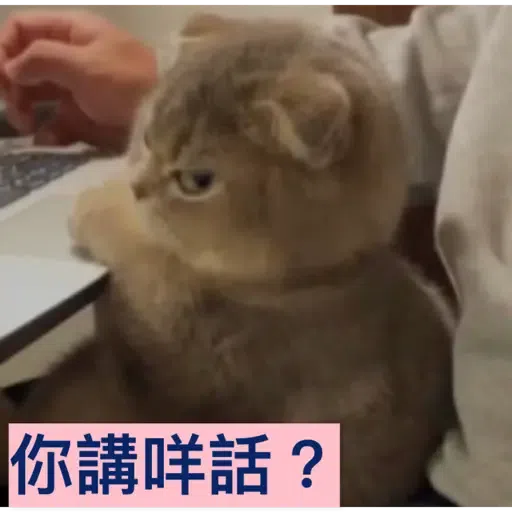 貓1 - Sticker 14