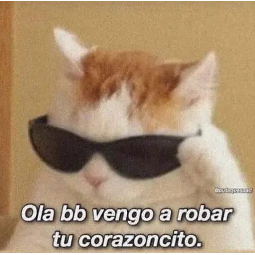 Memes - Sticker 12