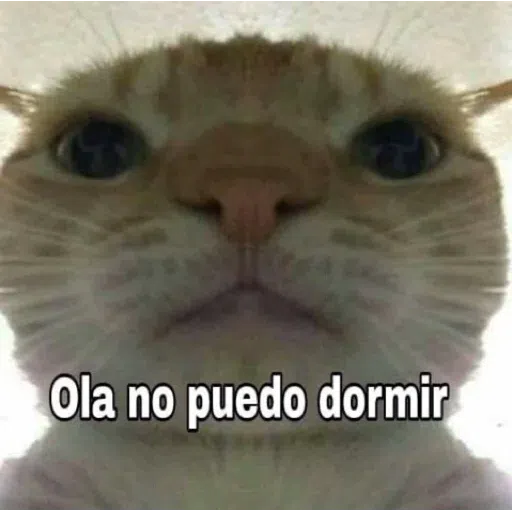 Memes - Sticker 13